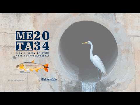 UM RIO AINDA COM VIDA - Rio Taquaraçu - REgião Metropolitana de Belo Horizonte