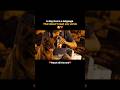 A Dog Love Is A LanguageThat Doesn T Need Any Words Malayalam Movie Shortvideo Shorts