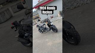 Download lagu 2024 Honda Rukus Sound Test / What Do YOU Ride?!? #honda mp3