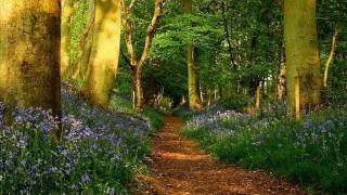 DJivan Gasparyan- Lovely Spring