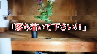 【座敷童子ンち】大暴れし会話ができない状態になりました【まるで世にも奇妙な物語】ユーチューバー、幽霊、パワースポット、オカルト、ホラー、怪談、物語、スピリチュアル、座敷わらし、パワースポット