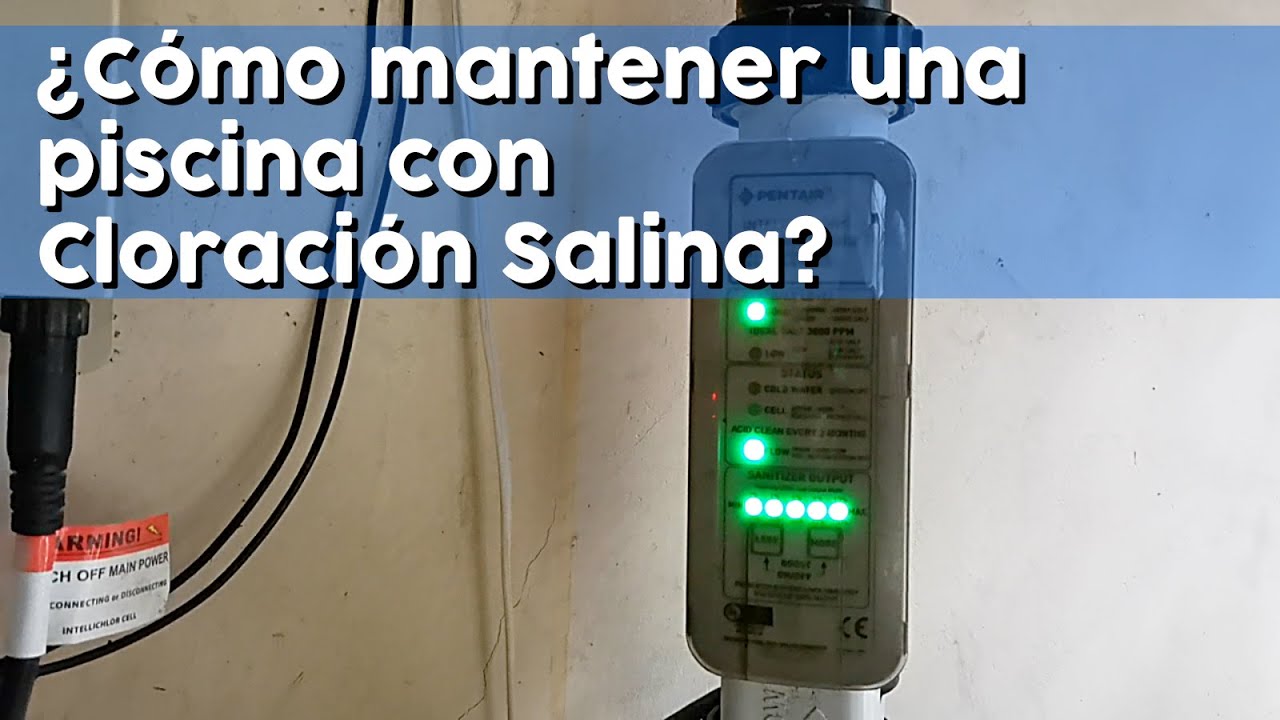 Putar video CÓMO HACER EL MANTENIMIENTO DE UNA PISCINA CON CLORACIÓN SALINA sekarang CÓMO HACER EL MANTENIMIENTO DE UNA PISCINA CON CLORACIÓN SALINA
