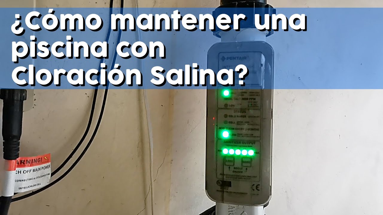 CÓMO HACER EL MANTENIMIENTO DE UNA PISCINA CON CLORACIÓN SALINA