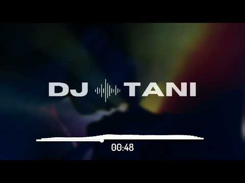 dj tani, BASTL & SHRX - Take You Home [Official Visualizer]