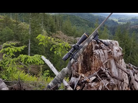 Kimber 84m Hunter review