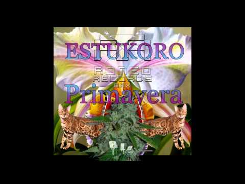 PRIMAVERA - ESTUKORO (PROD. ELMONOBORRACHO) RONEORECORDS