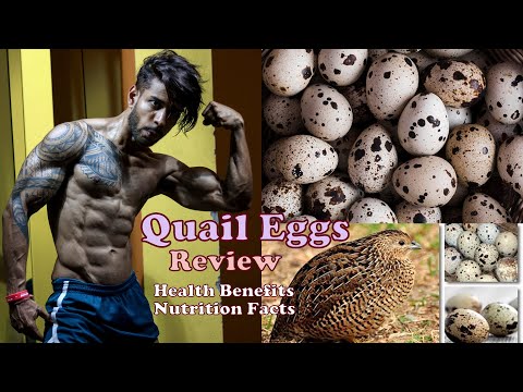 , title : 'Quail Eggs Review - Health Benefits - Nutrition Facts - Comparison with Chicken Eggs - Fitness Need'