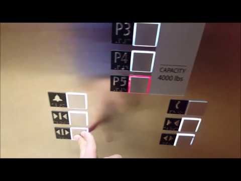 AMAZING & Brand New Schindler 5500 Elevators at Yorkdale Mall