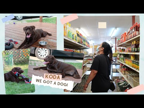 Vlog | 🐾Meet our puppy, Koda + Grocery Shopping w/ mom🐾