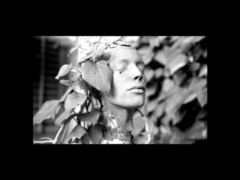 Dark Star: H.R. Giger's Welt — Special: still photography by Hans Schmidt