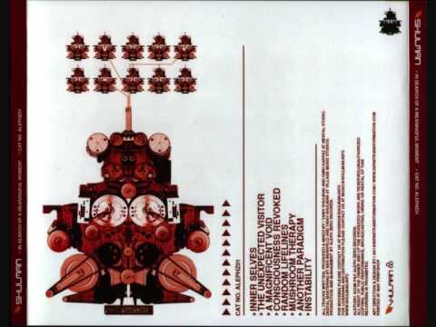 Shulman - Instability