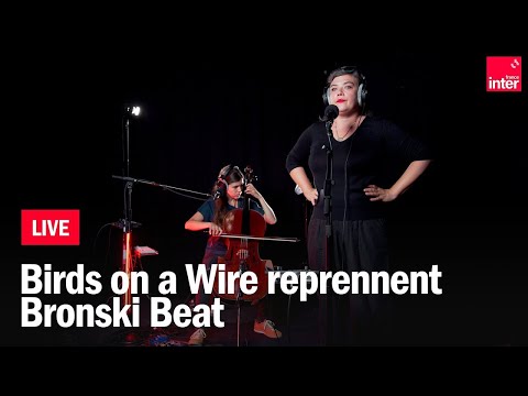 Birds on a wire reprennent "Smalltown Boy" de Bronski Beat