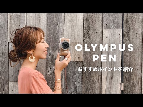 PEN E-PL10 ミラーレス一眼カメラ ダブルズームキット ブラウン