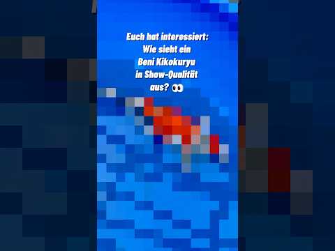 Video Vorschau Beni Kikokuryu Nr. 2