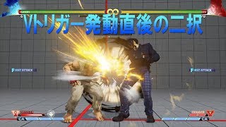 Street Fighter 5 G  Vトリガー発動からの二択 連係動画
