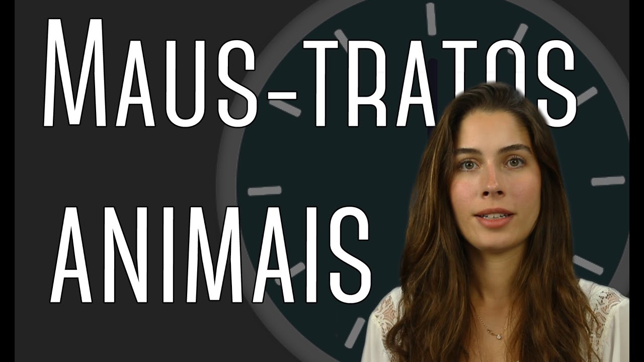 Maus-tratos a animais domésticos em 3 minutos