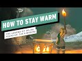 The Legend of Zelda: Tears of the Kingdom - How to Stay Warm