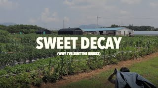 Cover art for sweet decay