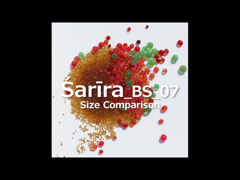 Legado de Buda_BS_07