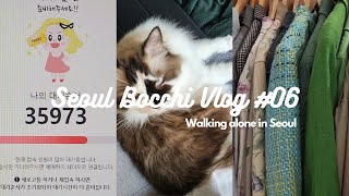 韓国VLOG🇰🇷 韓国で働く日本人の退勤後 : BTSチケッティング、新村の古着屋、愛猫と遊ぶ。(퇴근후 BTS티켓팅, 신촌 빈티지샵, 우리집 고양이, 동대문 쇼핑)