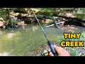 Simplified Creek Ultralight Fishing
