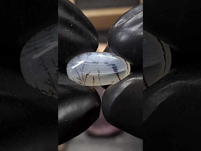 حجر عقيق شجري طبيعي