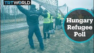 Refugee Crisis: Hungarian attitude to refugees bucks international trend