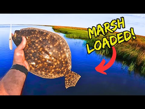 Fishing Tidal Marsh for Flounder on YouTube