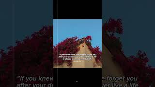 Download lagu That is the Reality 🥺💔 | Batmana Ansak Arabic Song | Sherine Songs | #reminder #unfrezzmyaccount mp3
