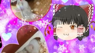*ゆっくりゆい のライブ ストリーム
