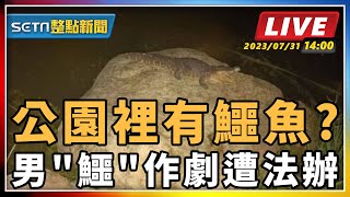 公園裡有鱷魚? 男"鱷"作劇遭法辦 