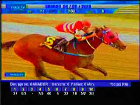 Resumen Sábado, 04 de Septiembre de 2010 - La Rinconada