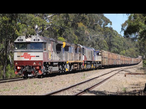 4 Different Locomotive types on SCT Intermodal train at Belair