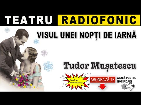 Tudor Musatescu - Visul unei nopti de iarna | Teatru
