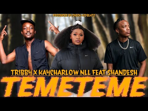 "TEMETEME" Tribby Wadi Bhoza X KayCherlow NLL(feat. Shandesh)TYPEBEAT