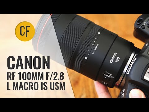 Canon RF 100mm f/2.8 L Macro IS USM Objektivtest mit Beispielen