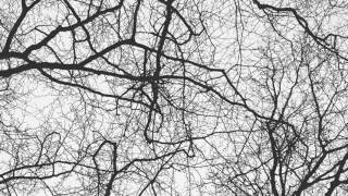 Sebastian Mullaert - You're An Orchestra In The Cosmos (Joris Voorn Remix) [GR21]