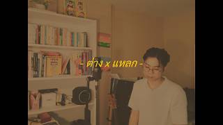 ต่าง x แหลก