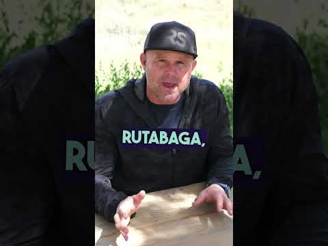 Fundamental Thinking: Nutrition Plan For Life