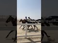Abu Dhabi Festival 100km Private Horse Race Endurance 18 March 2022