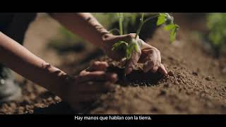 'Origen', de Innocean Worldwide Spain para Helios Trailer