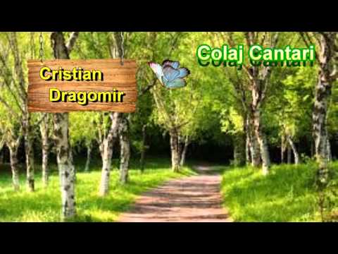CRISTIAN DRAGOMIR - COLAJ DE MUZICA CRESTINA.