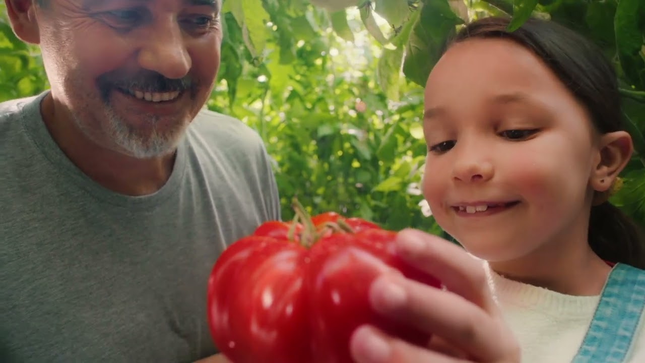 Découvrez notre pub TV sur nos tomates