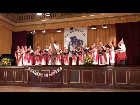 Vox Angelorum Choir - Dwijavanthi (Ethan Sperry)