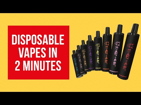 What is a Disposable Vape in 2 minutes