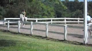 preview picture of video 'Stormy AHR Grey Hunter Mare'