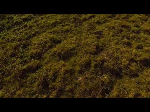 Drone footage of surfing at Fossil Beach