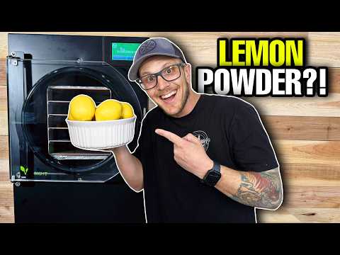 Freeze Dried Lemon Powder: The Secret Ingredient you NEED!