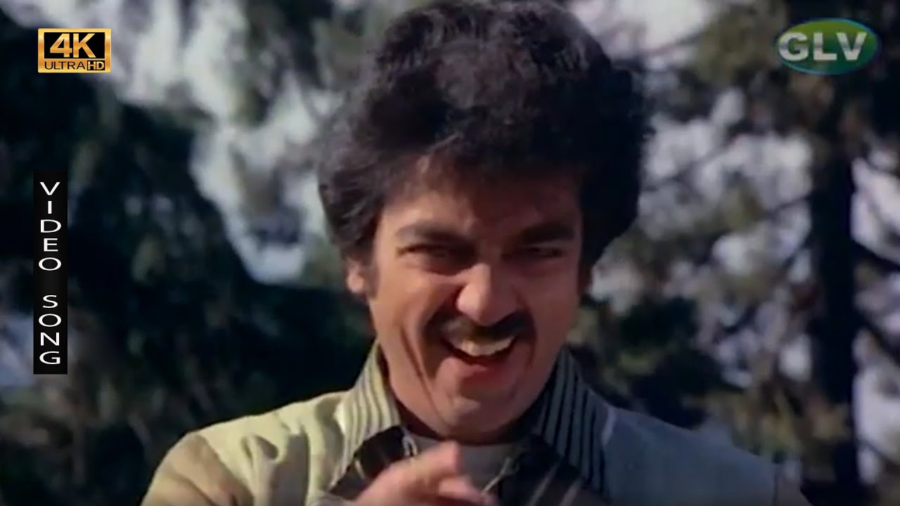 Look Love Me Dear Song Lyrics | Simla Special | S. P. Balasubrahmanyam, S. Janaki