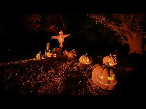 Kew the Ghouls - Halloween Trail at Kew Gardens